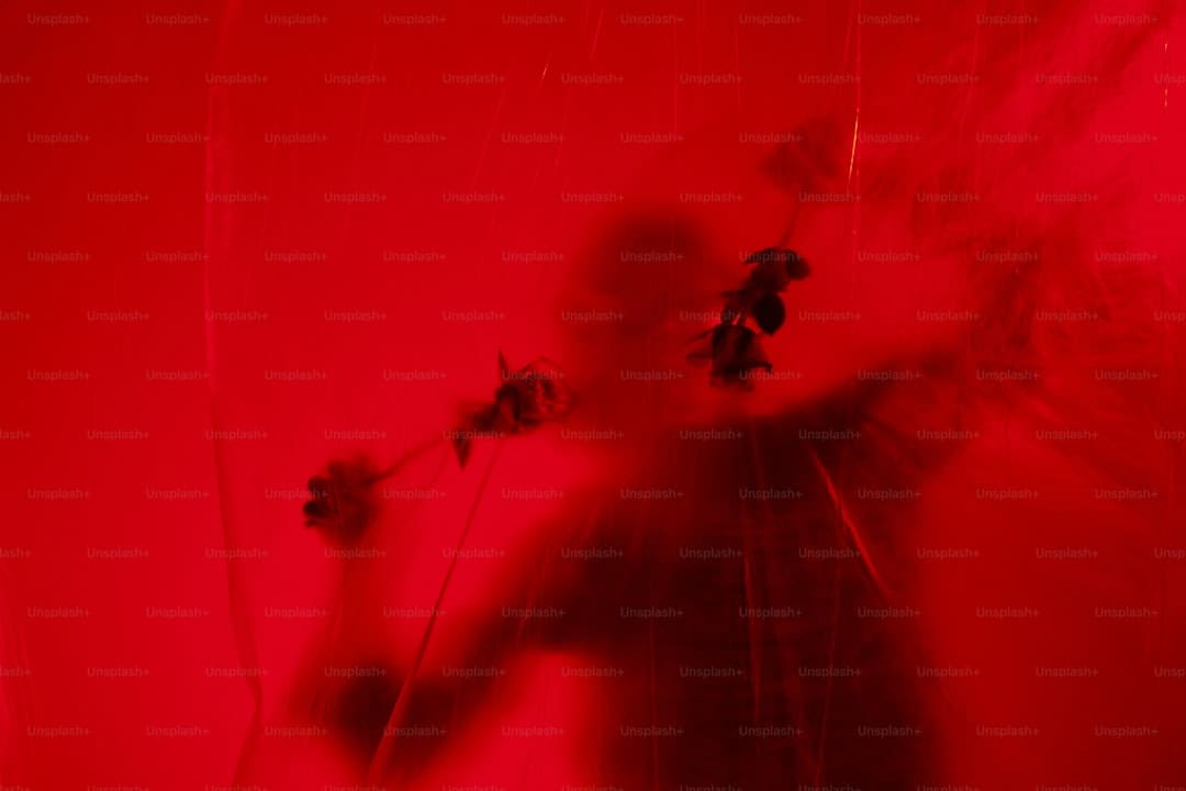 宋佳佟丽娅电影《轻于鸿毛》七夕定量点映 带上姐妹一同高兴动身